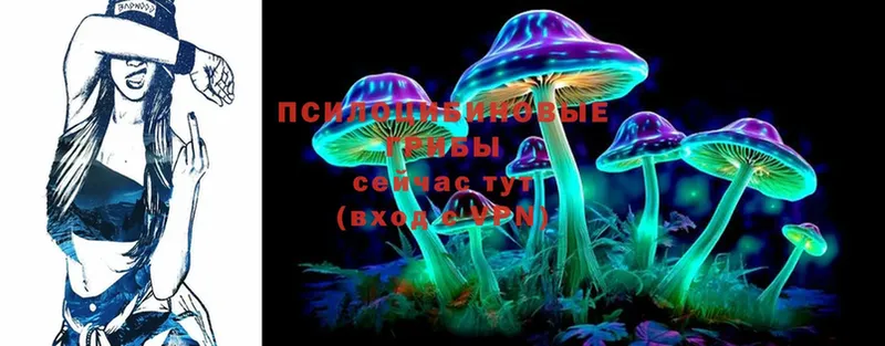 Псилоцибиновые грибы Psilocybine cubensis  дарк нет официальный сайт  Карачаевск 